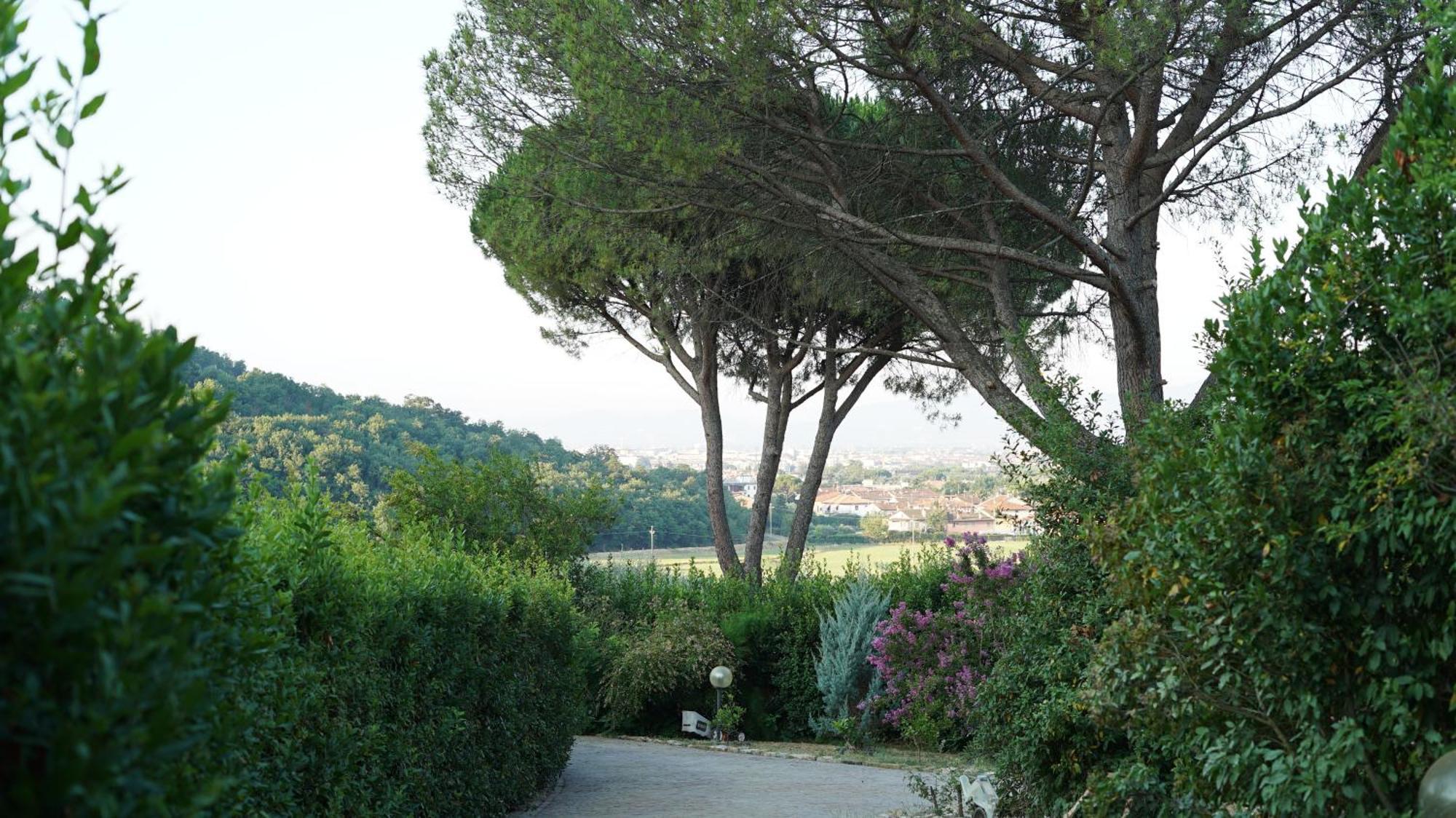 Villa Salviati ปาล์มเดดเซิร์ท ภายนอก รูปภาพ