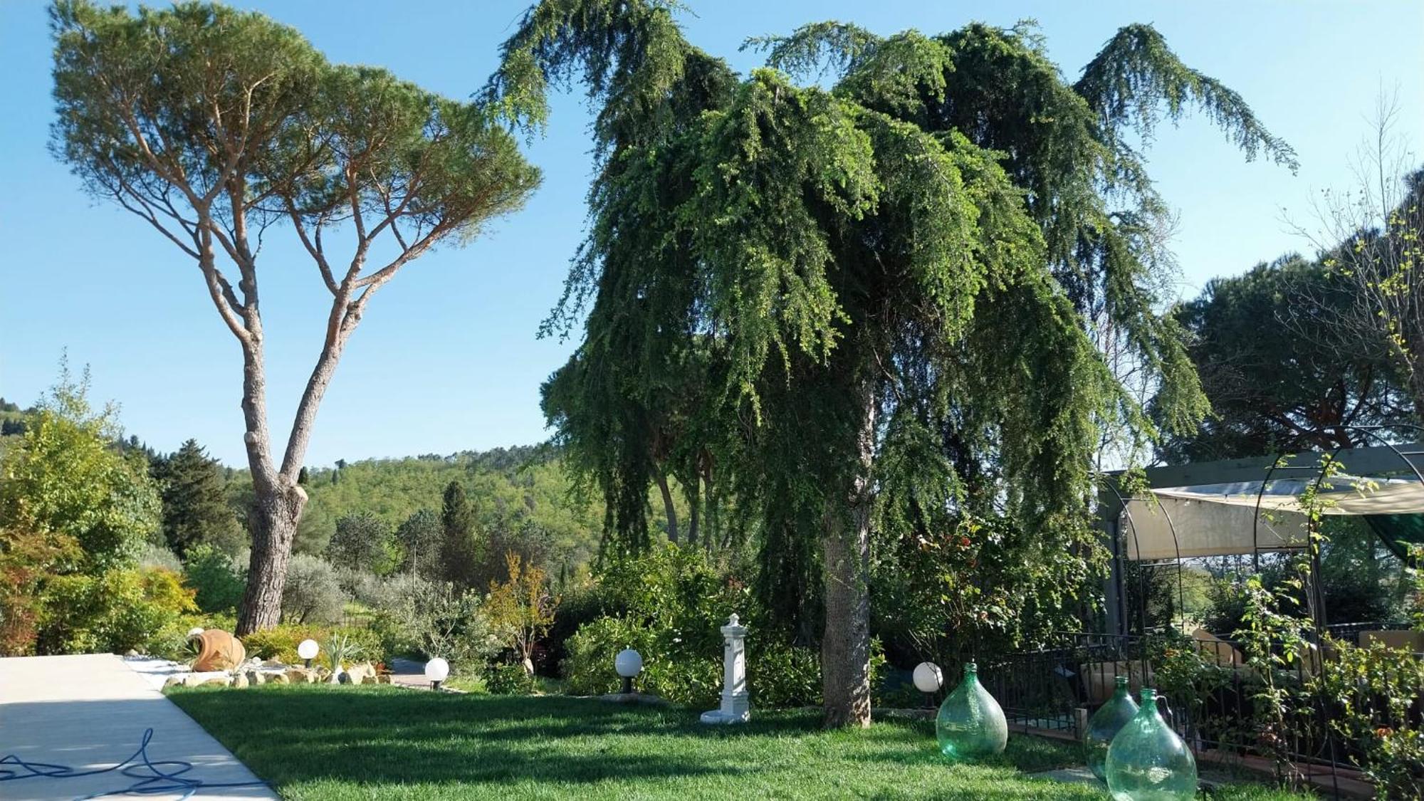 Villa Salviati ปาล์มเดดเซิร์ท ภายนอก รูปภาพ