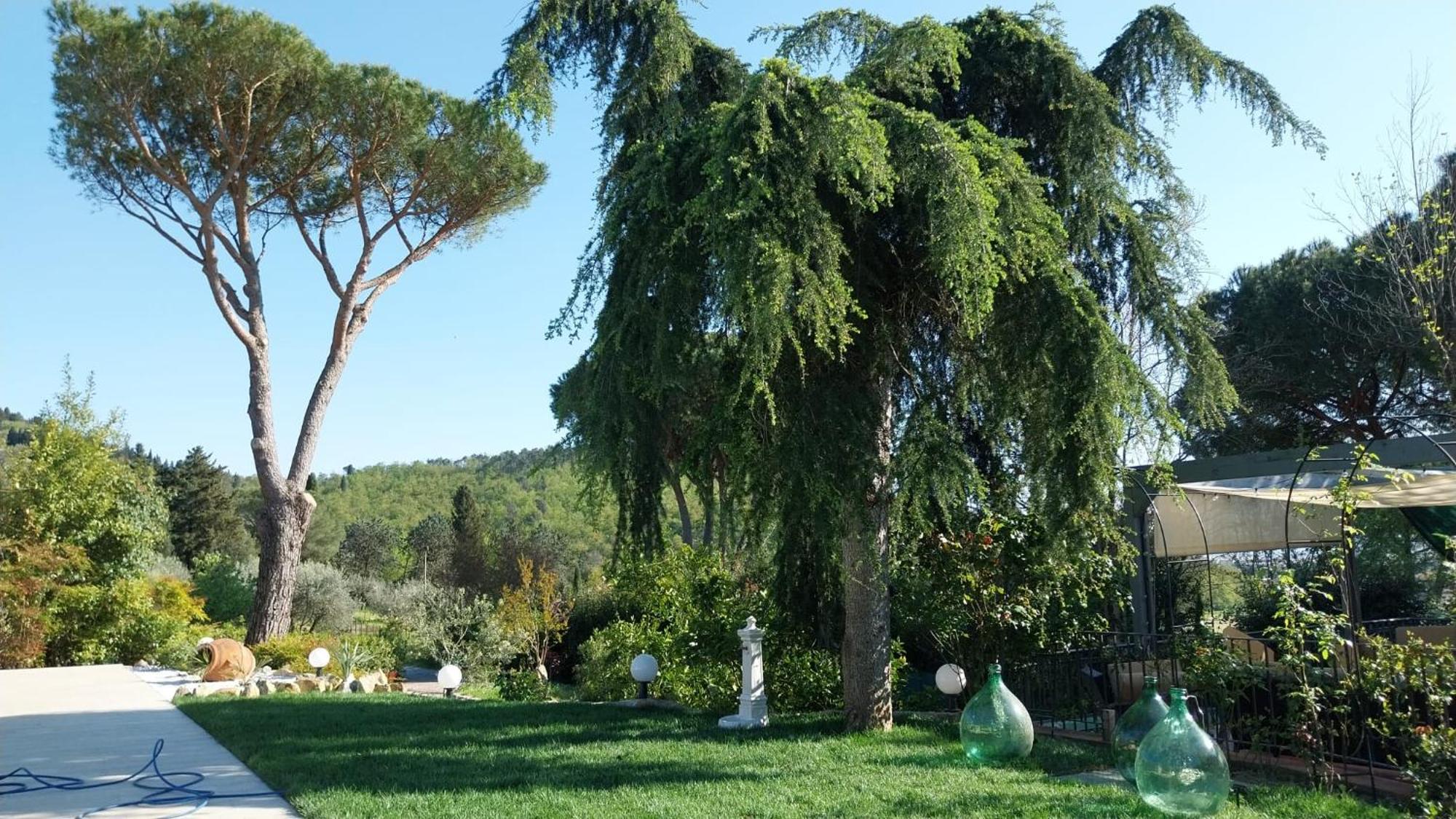 Villa Salviati ปาล์มเดดเซิร์ท ภายนอก รูปภาพ